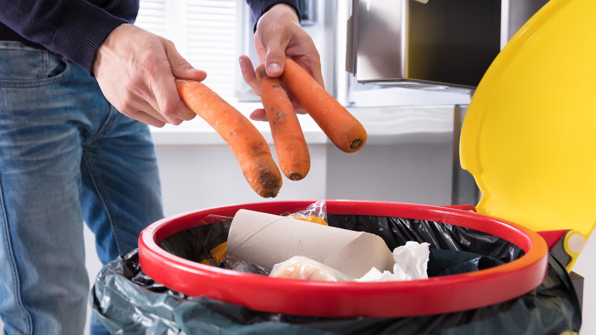 lebensmittelverschwendung