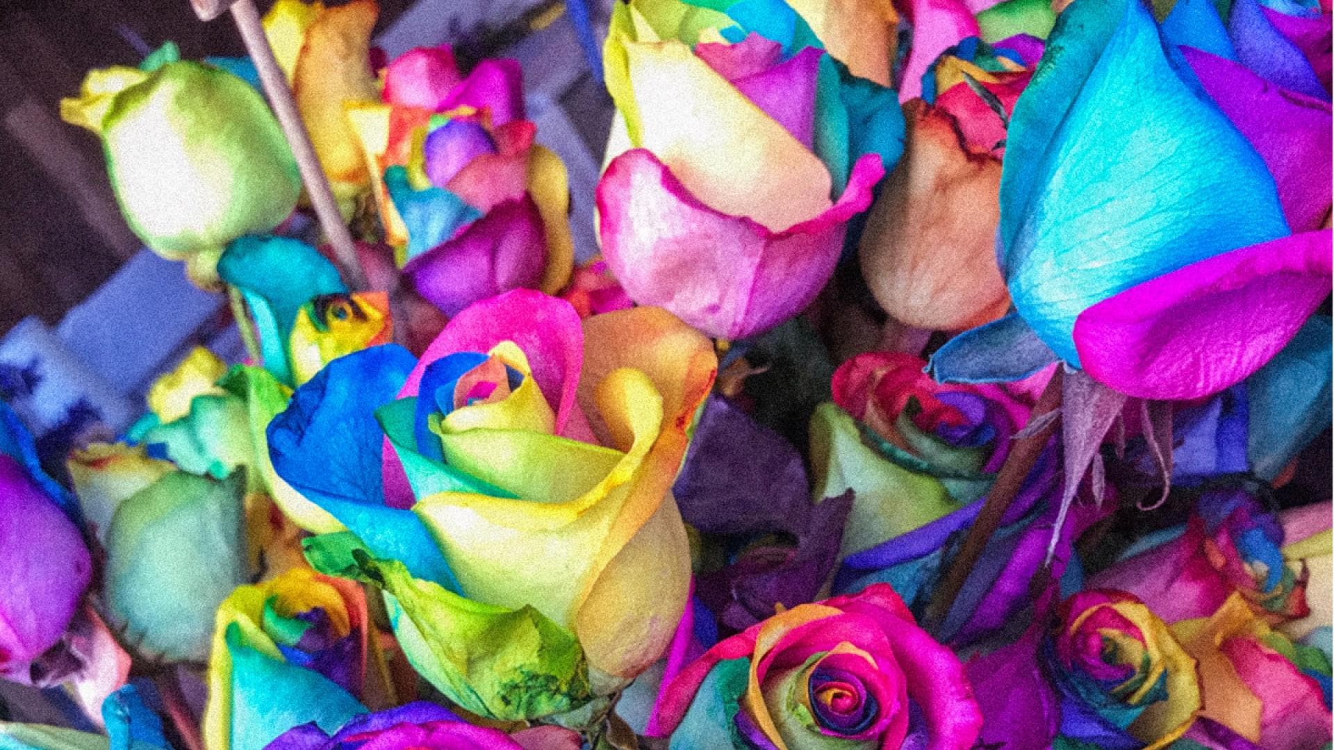 Farben und ihre Bedeutung