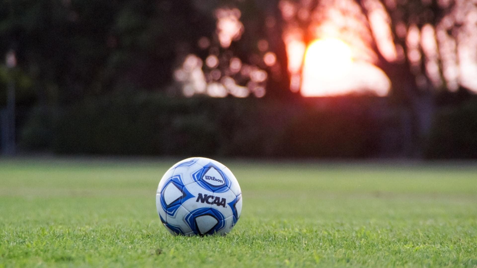 wm-2018-fußball-entkommen-netflix