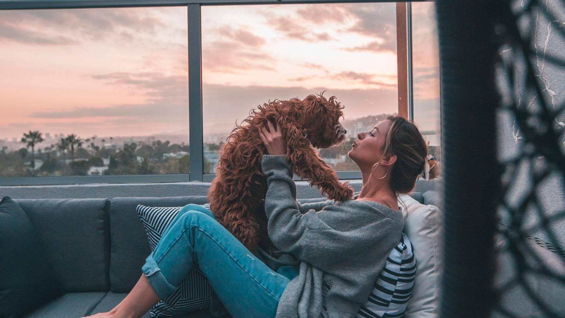 menschen-mit-haustieren-sprechen-intelligent-hund-katze-studie