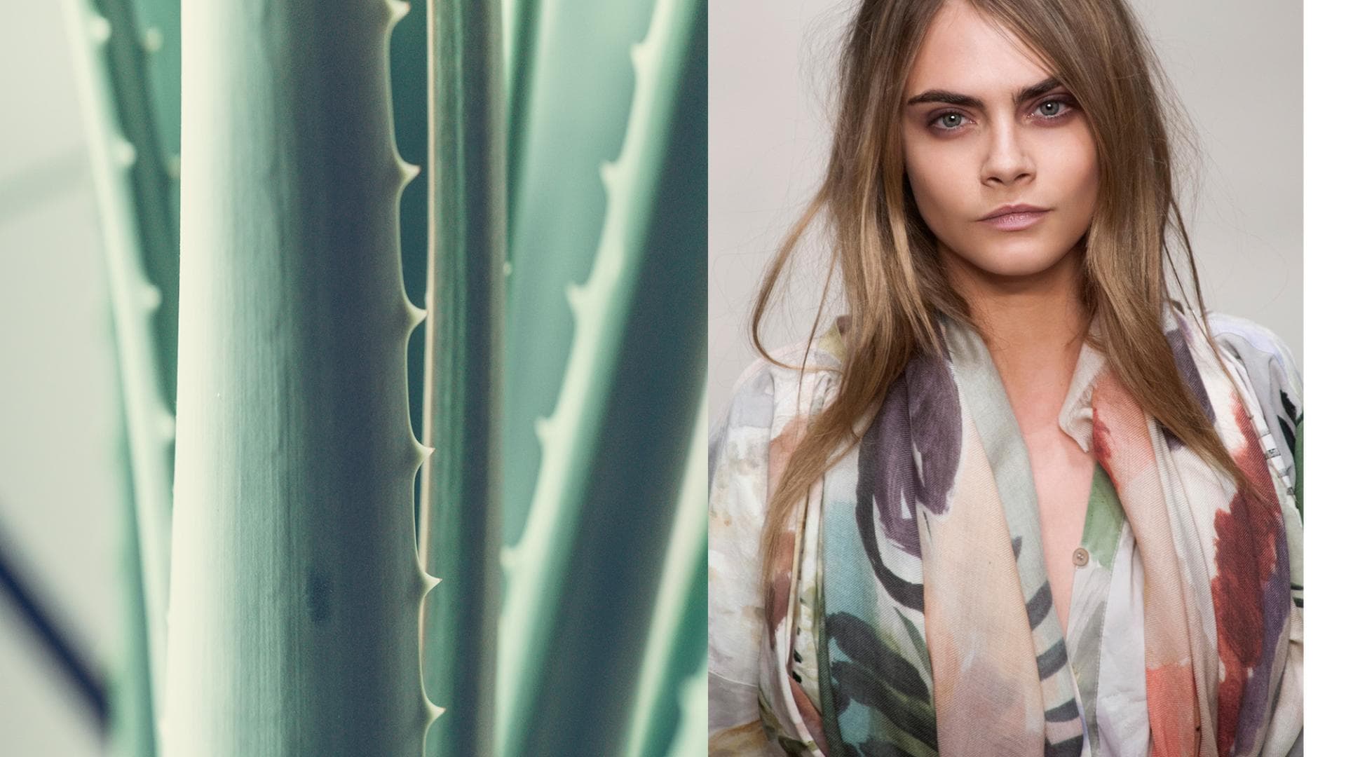 Hausmittel für Augenbrauen