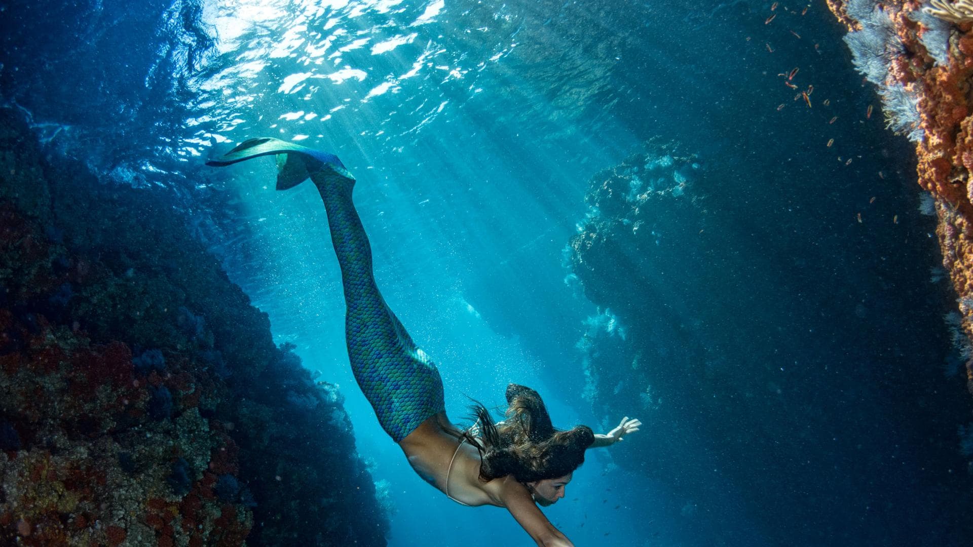 Meerjungfrau-Meerjungfrauendecke-Flosse