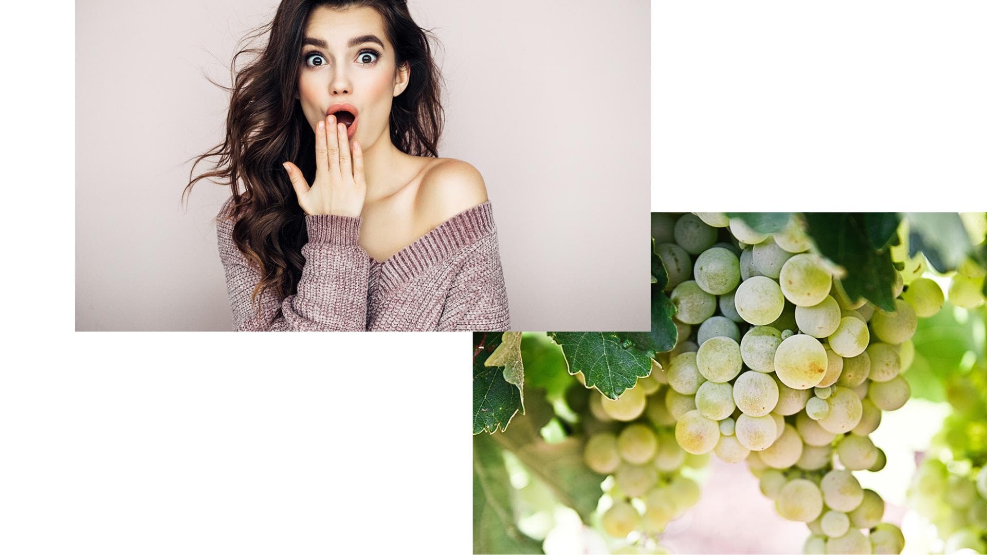 Caudalie-Produkte-Hautpflege-Beauty-Gesicht-Make-up-Artist