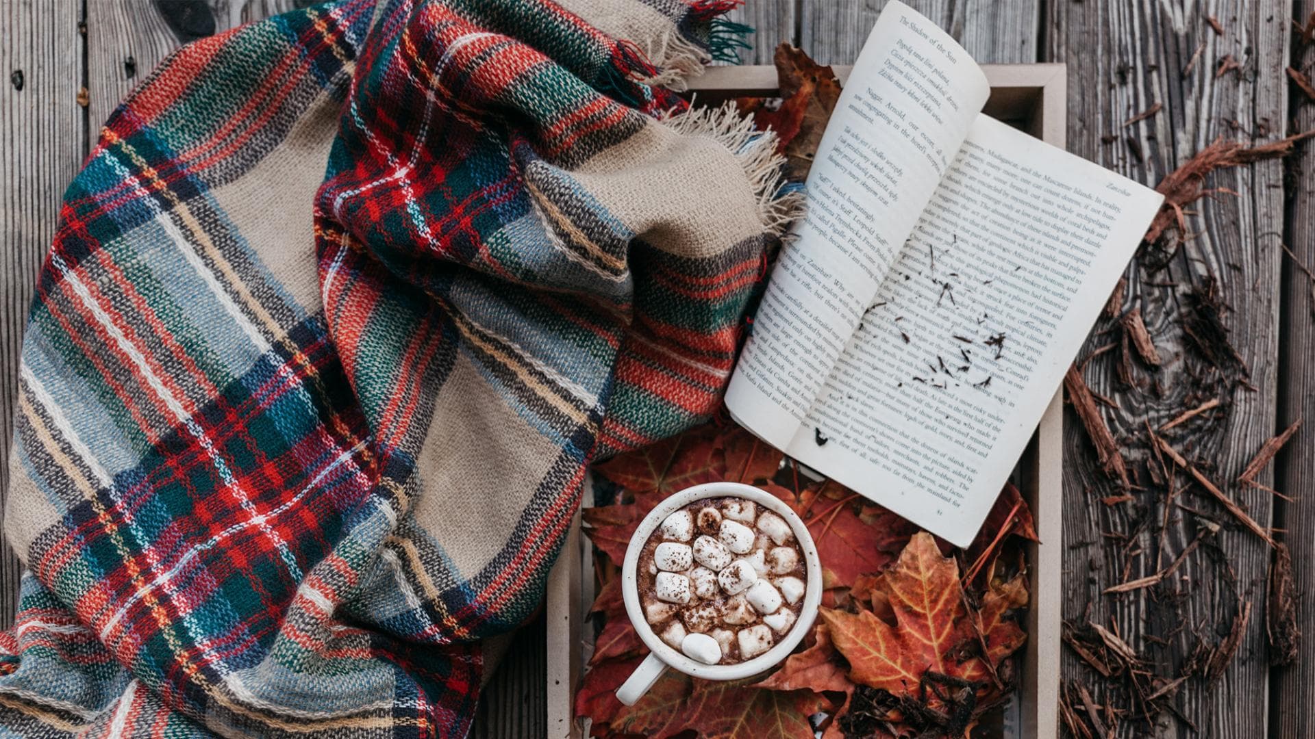 Aktivitäten-im-Herbst