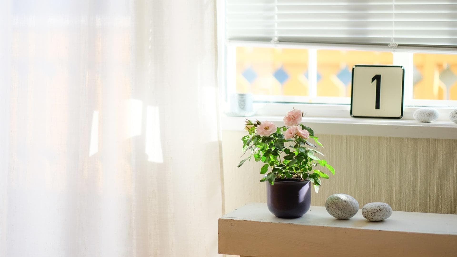 Photo by Steinar Engeland on Unsplash