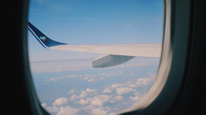 Fliegen