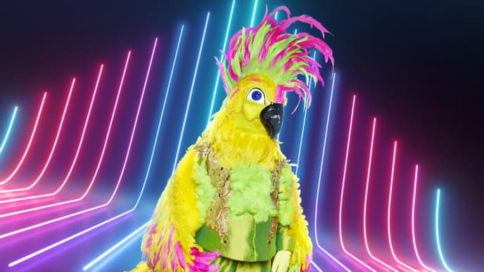 The Masked Singer
