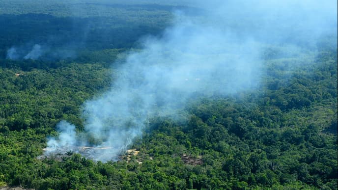Rauch tritt aus dem Amazonas Regenwald auf