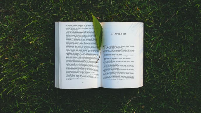 Die 3 schönsten Bücher für den Sommer