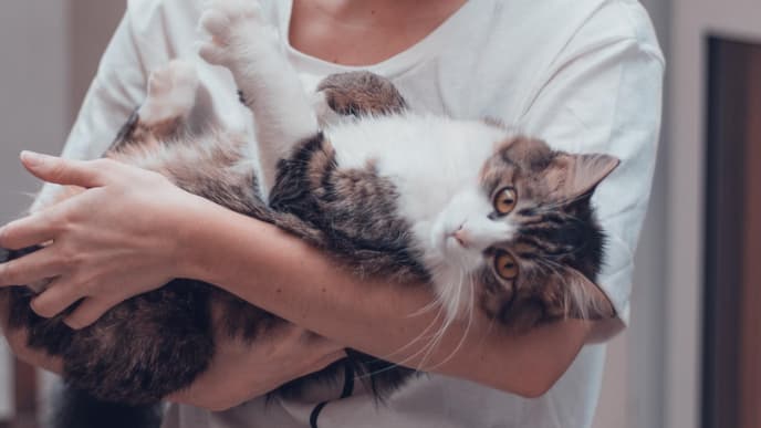 Frau mit Katze im Arm