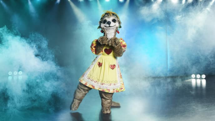 The Masked Singer Das Erdmännchen