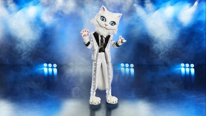 The Masked Singer Die Katze