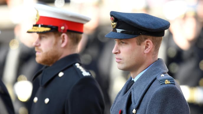 Prinz Harry und Prinz William