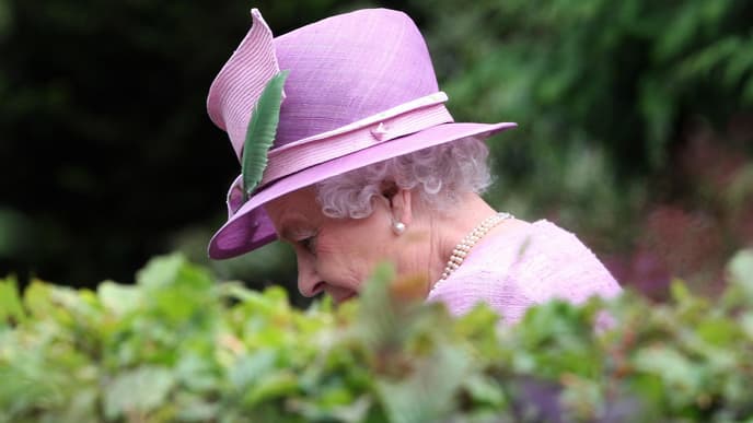 Queen im Garten