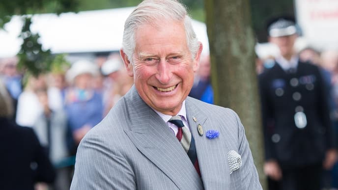Prinz Charles Pläne als König