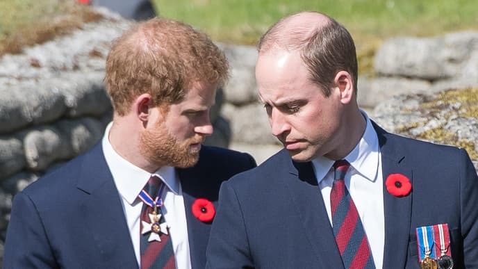 Prinz Harry und William traurig 