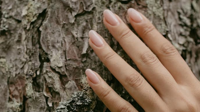 Nagelhärter Test