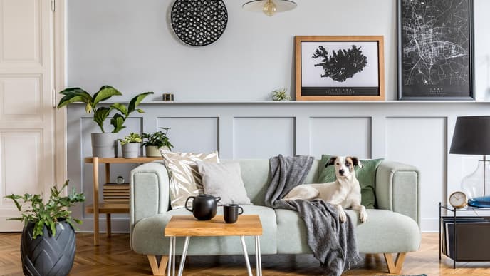 Wohntrends 2021 Interior Must-haves