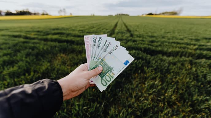 Geldscheine in der Hand