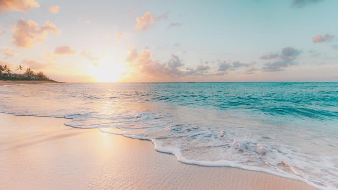 Strand mit Meer und Palmen 
