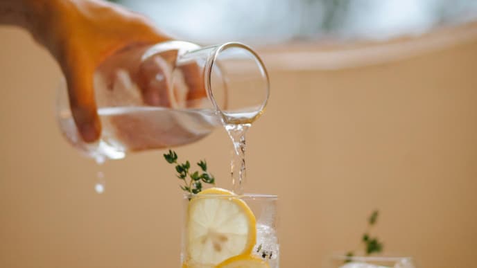 Limonade Stoffwechsel