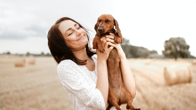 Hund verwöhnen