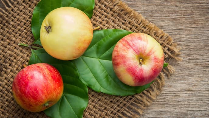 Äpfel