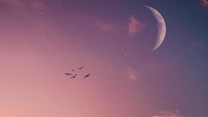 Neumond im August