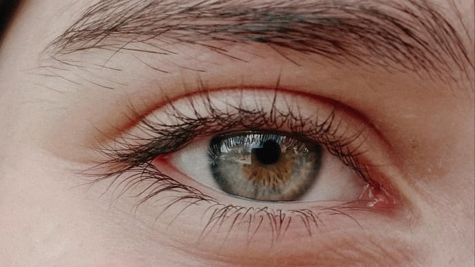 Lange Wimpern