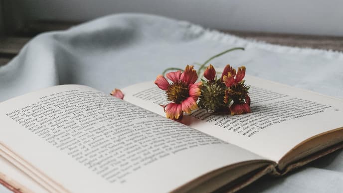 Aufgeklapptes Buch