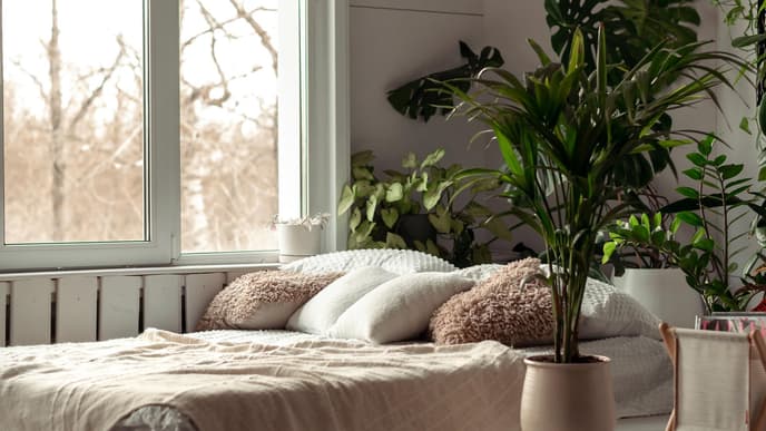 Schlafzimmer Zimmerpflanzen