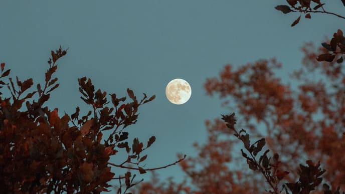 Vollmond Auswirkung 