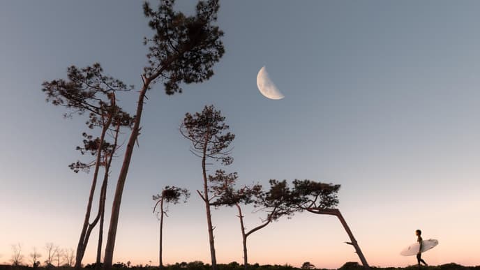 Mond