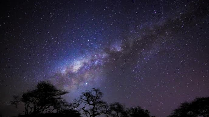 Universum
