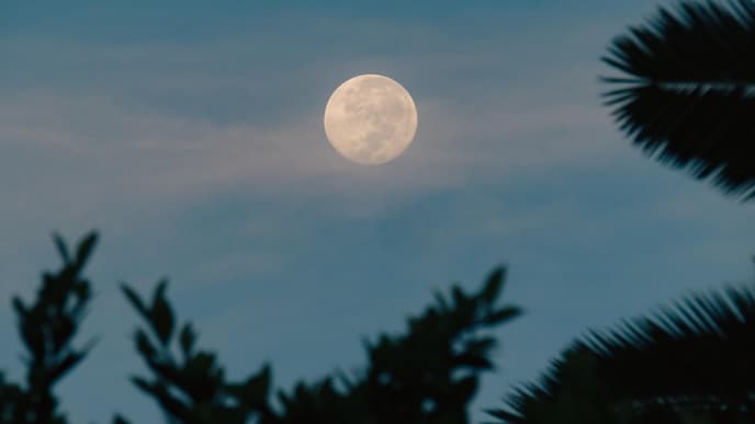 Vollmond