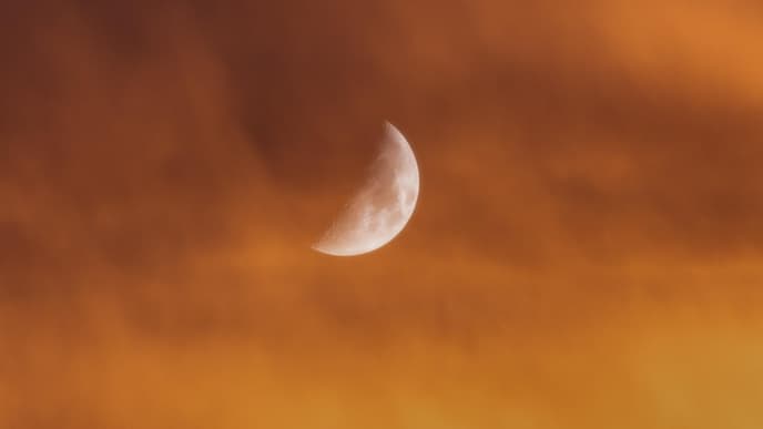 Zunehmender Mond am orangefarbenen Himmel mit einem Baum