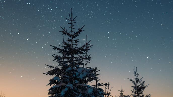 Tannenbaum vor Sternenhimmel
