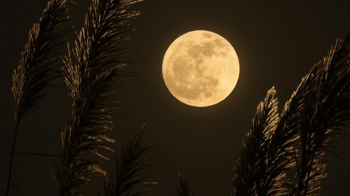 Mond Horoskop