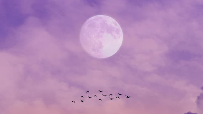 Vollmond am pinken Himmel