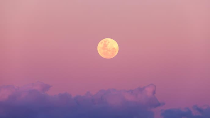 Rosa Mond