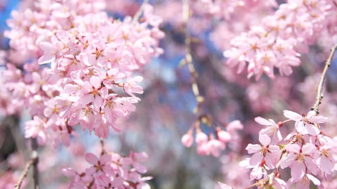 Wochenhoroskop: Das erwartet alle Sternzeichen vom 14. bis zum 20. April