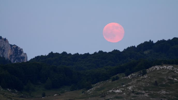 Pink Moon im April: 3 Sternzeichen finden inneren Frieden