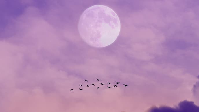 Lila Abendhimmel mit Vollmond