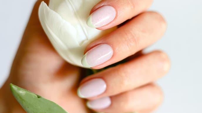 Gemachte Fingernägel einer Hand, die eine Tulpe hält