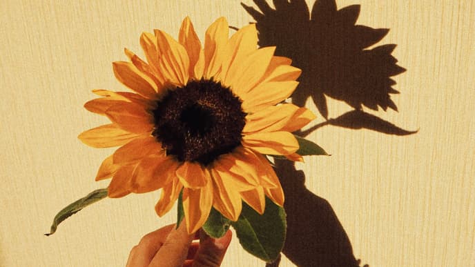 Sonnenblumen Nageldesign