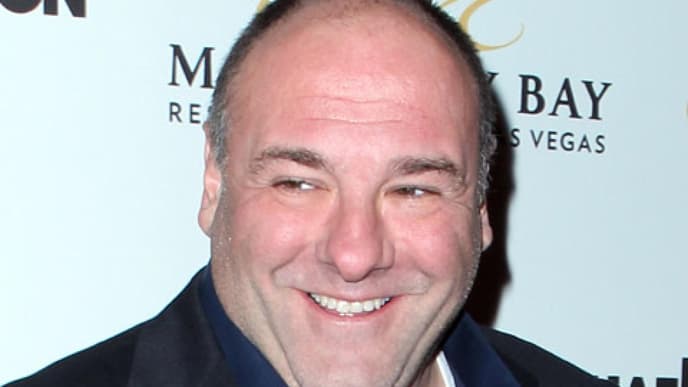 jamesgandolfini-tot-480x360-1819508.jpg