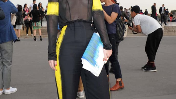 iggy-1863469.jpg