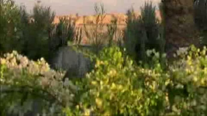 yoga-video-shavasana-480x360-1237931.jpg