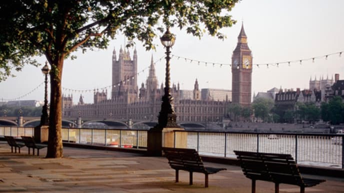 london480x360-455802.jpg