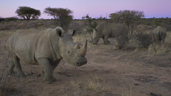 namibia-520x390-1334966.jpg